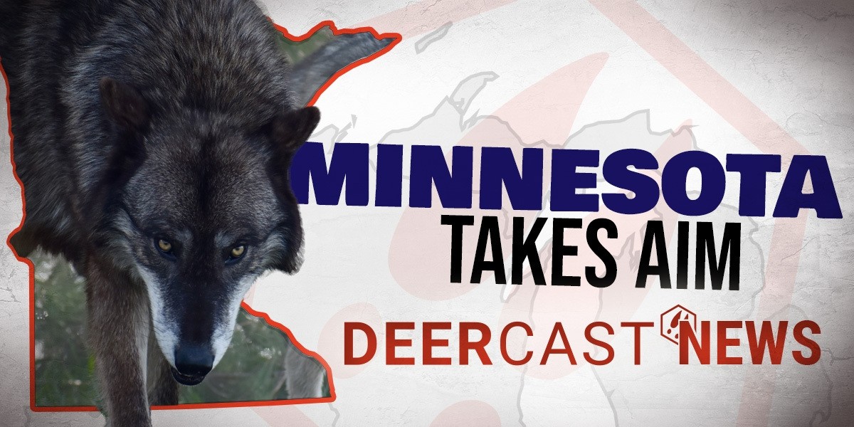 DeerCast News: Minnesota Hunters Take Aim at Wolf Population
