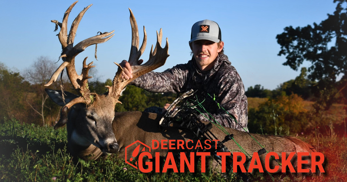 Giant Tracker: A 231" Missouri Mega Buck